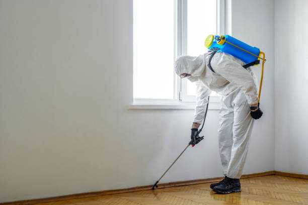 Best Cockroach Control Services  in Mount Pleasant, MI
