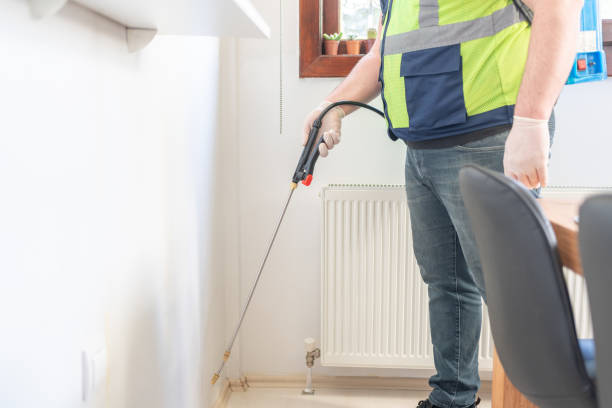 Best Pest Removal Services  in Mount Pleasant, MI