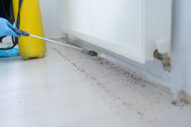 Best Pest Removal Services  in Mount Pleasant, MI