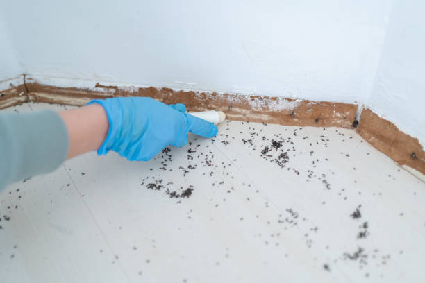 Best Wildlife Control Services  in Mount Pleasant, MI